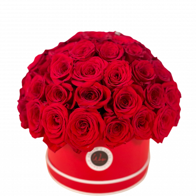Valentines Day Dome Roses