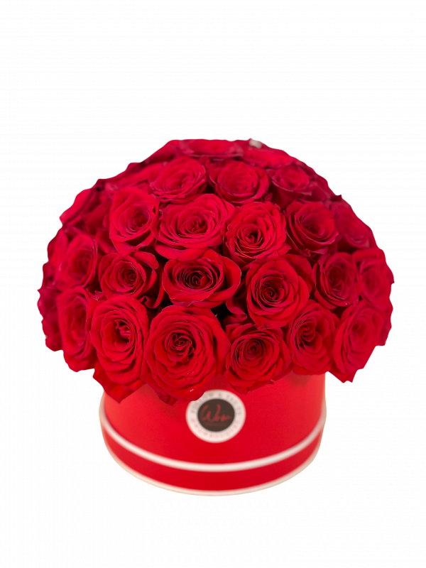 Valentines Day Dome Roses