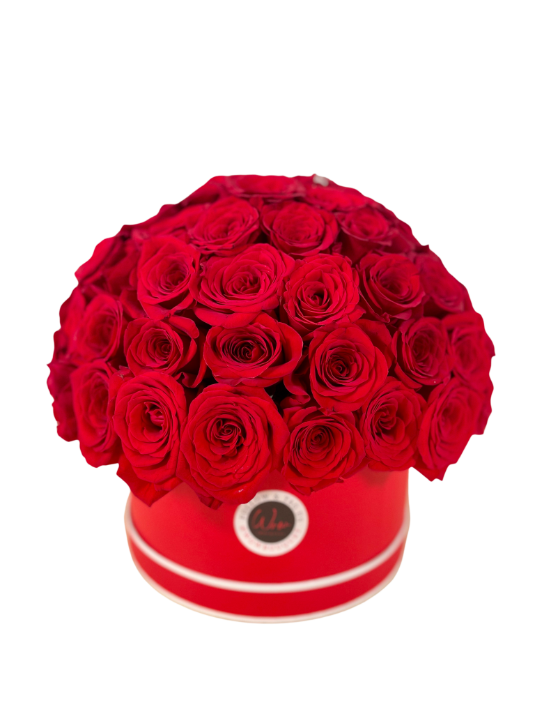 Dome Roses Fresh Red Roses By WOW Bouquet dome-roses-fresh-red-roses-by-wow-bouquet