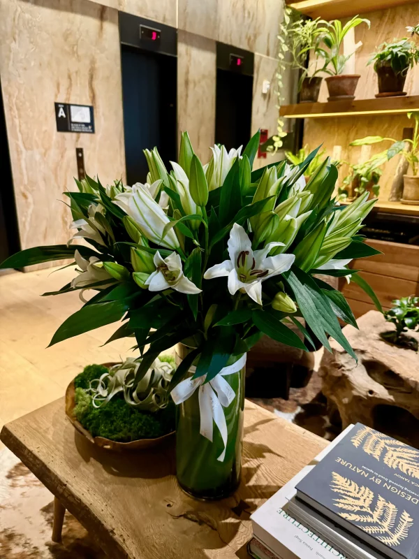 Beautiful white lilies in full bloom with green foliage in a vase.