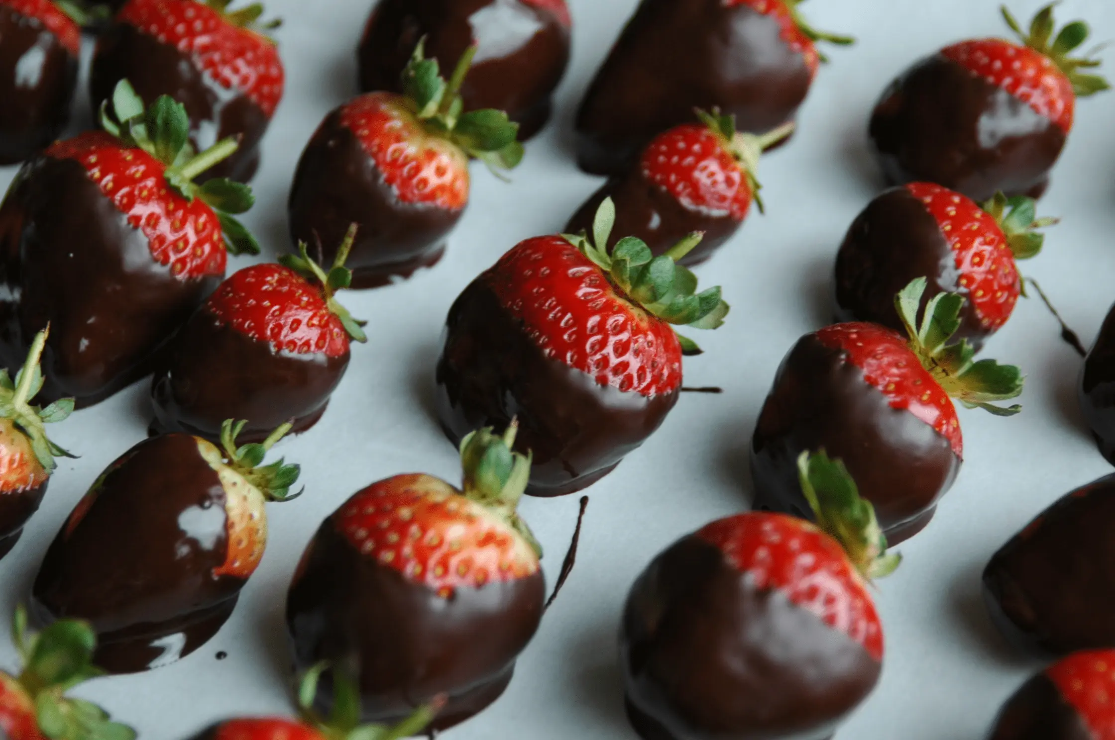 chocolate dipped strawberries in a tray