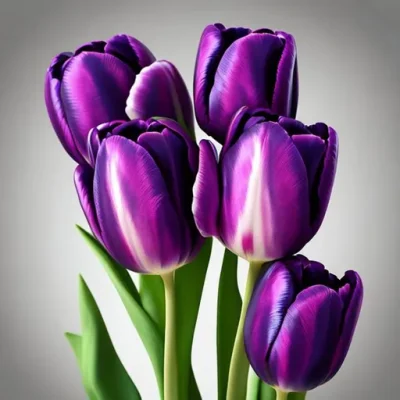 A bouquet of multicolored tulips, perfect for gifting and adding cheer to any room.