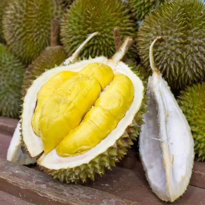 Creamy durian nuts inside the spiky durian fruit, known for their rich, slightly sweet taste.