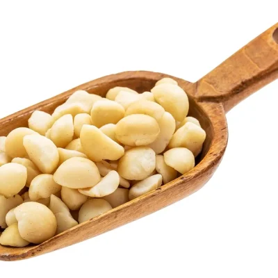 Round, creamy-white macadamia nuts with a smooth surface, illustrating their buttery texture and mild sweetness.