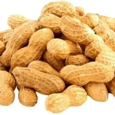 A pile of roasted, shelled peanuts