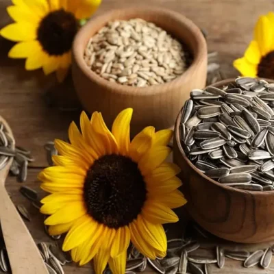 Striped sunflower seeds in and out of their shells, commonly used as a snack or salad topping.