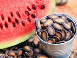 A pile of roasted, crunchy watermelon seeds with a light brown surface, rich in protein.