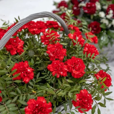 A bouquet of ruffled red carnations with lush, full petals.