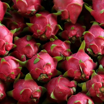 A pile of fresh dragon fruits with vibrant pink skin and green scales, showcasing their exotic and tropical appearance.