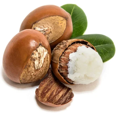 Small, dark brown shea nuts, primarily used to make shea butter for skincare and cooking.