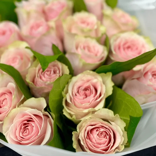 Romantic pink rose bouquet for anniversaries and birthdays