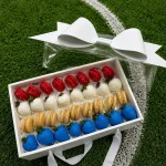 Netherlands soccer fan gift box with premium chocolate covered strawberries and red and white macarons